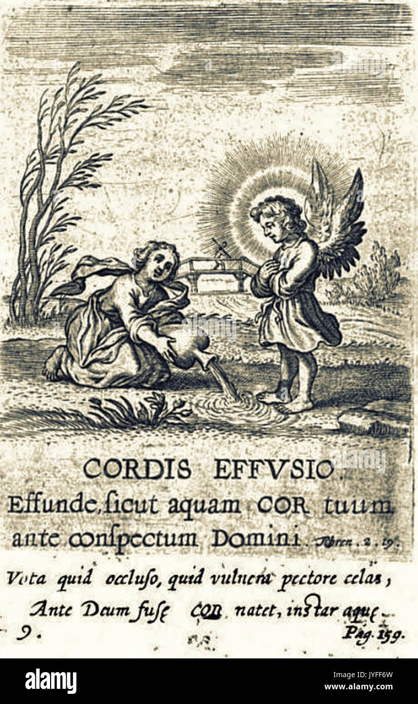 9. Cordis Effusio Stockfoto