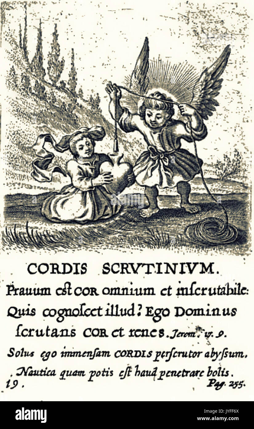 19. Cordis Scrutinium Stockfoto