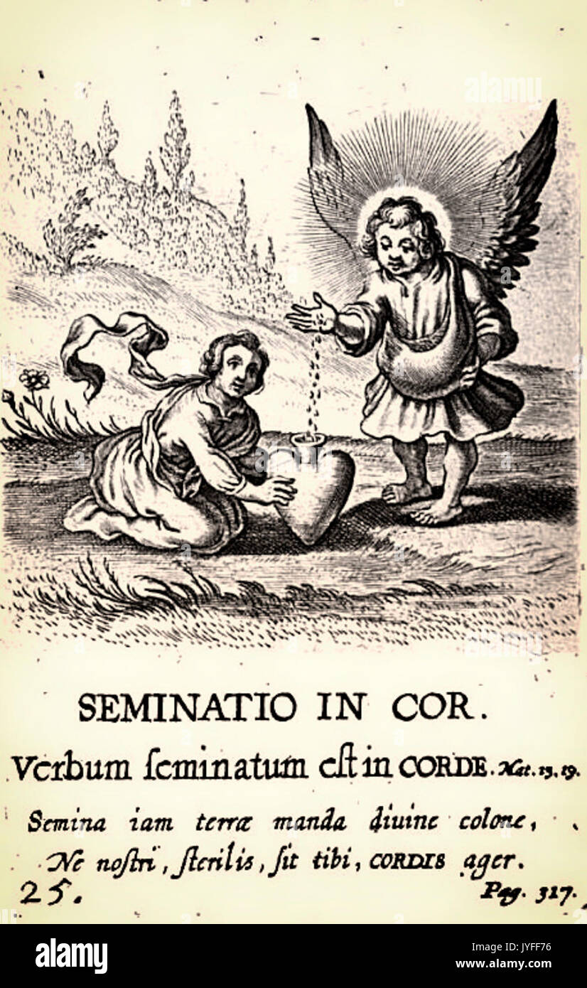25. Seminatio in Cordis Stockfoto 25. Seminatio in Cordis Stockfoto