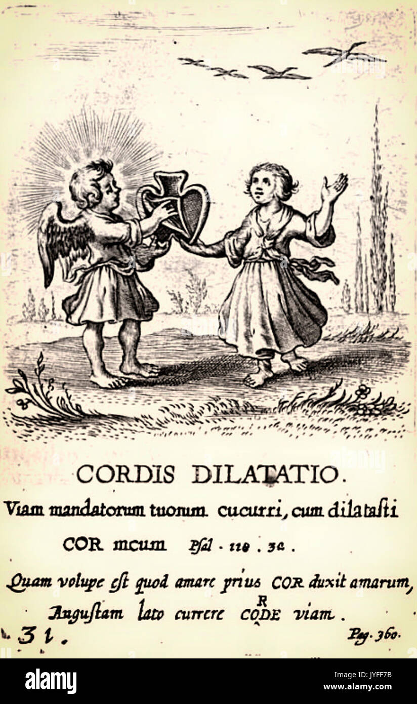 31. Dilatatio Cordis Stockfoto