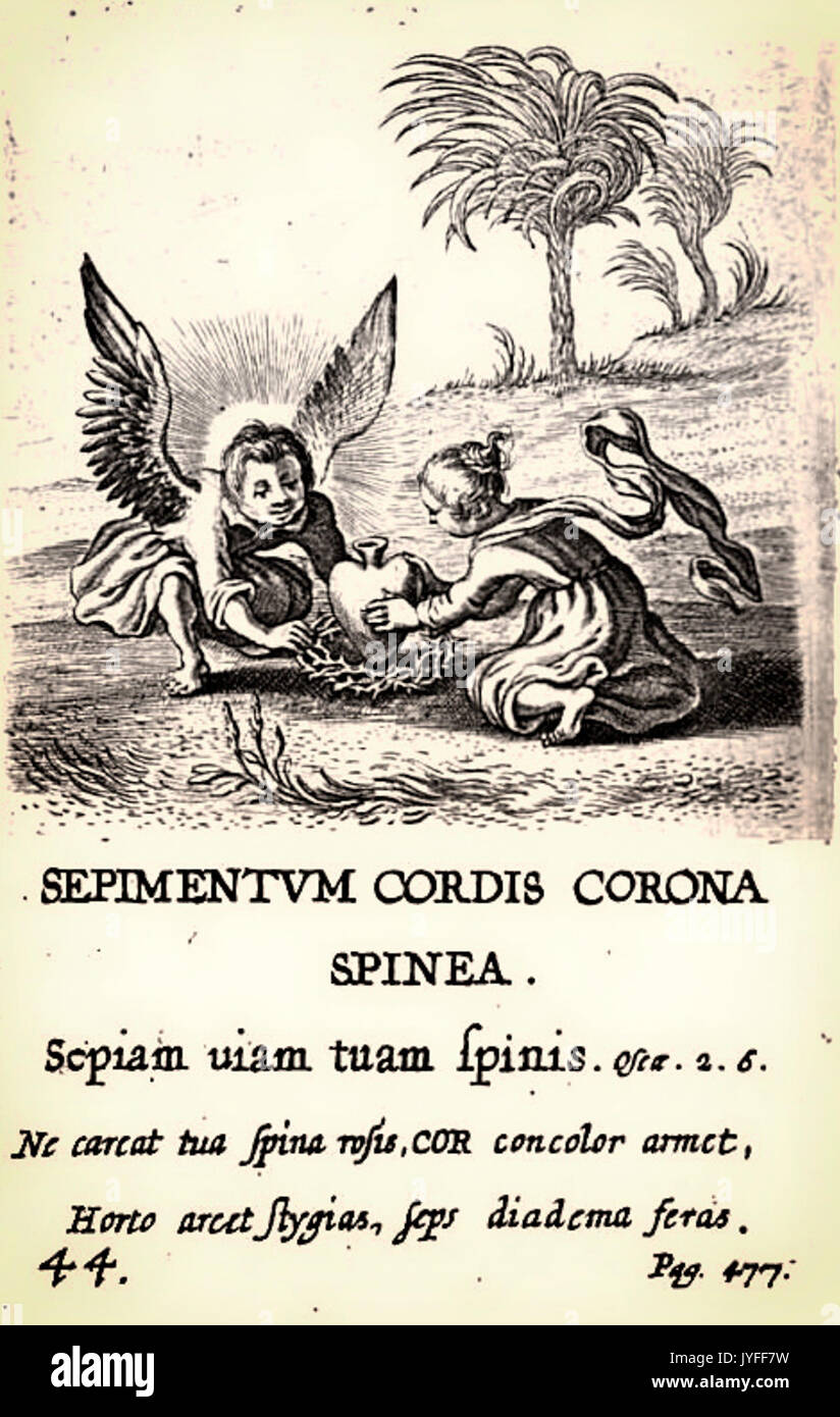44. Sepimentum Cordis Corona Spinea Stockfoto