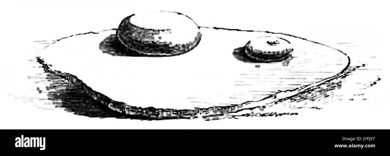 Aboriginesofvictoria01p 383 Abb. 218 Stockfoto