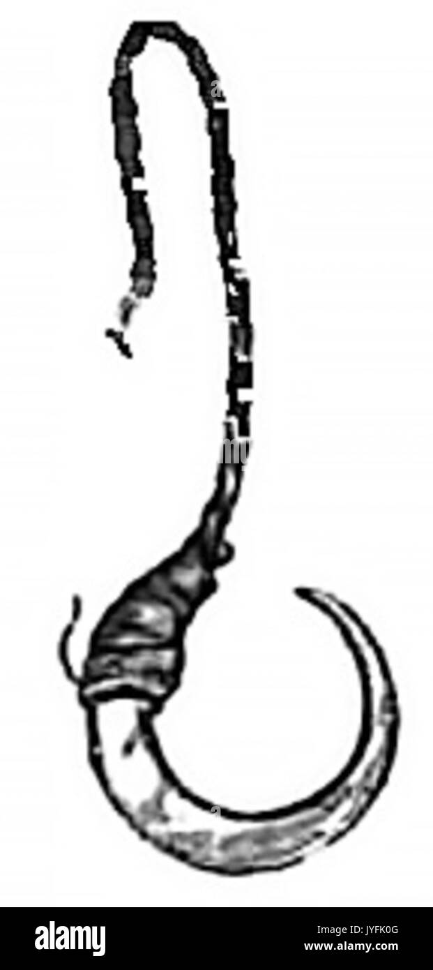 Aboriginesofvictoria01p 391 Abb. 226 Stockfoto