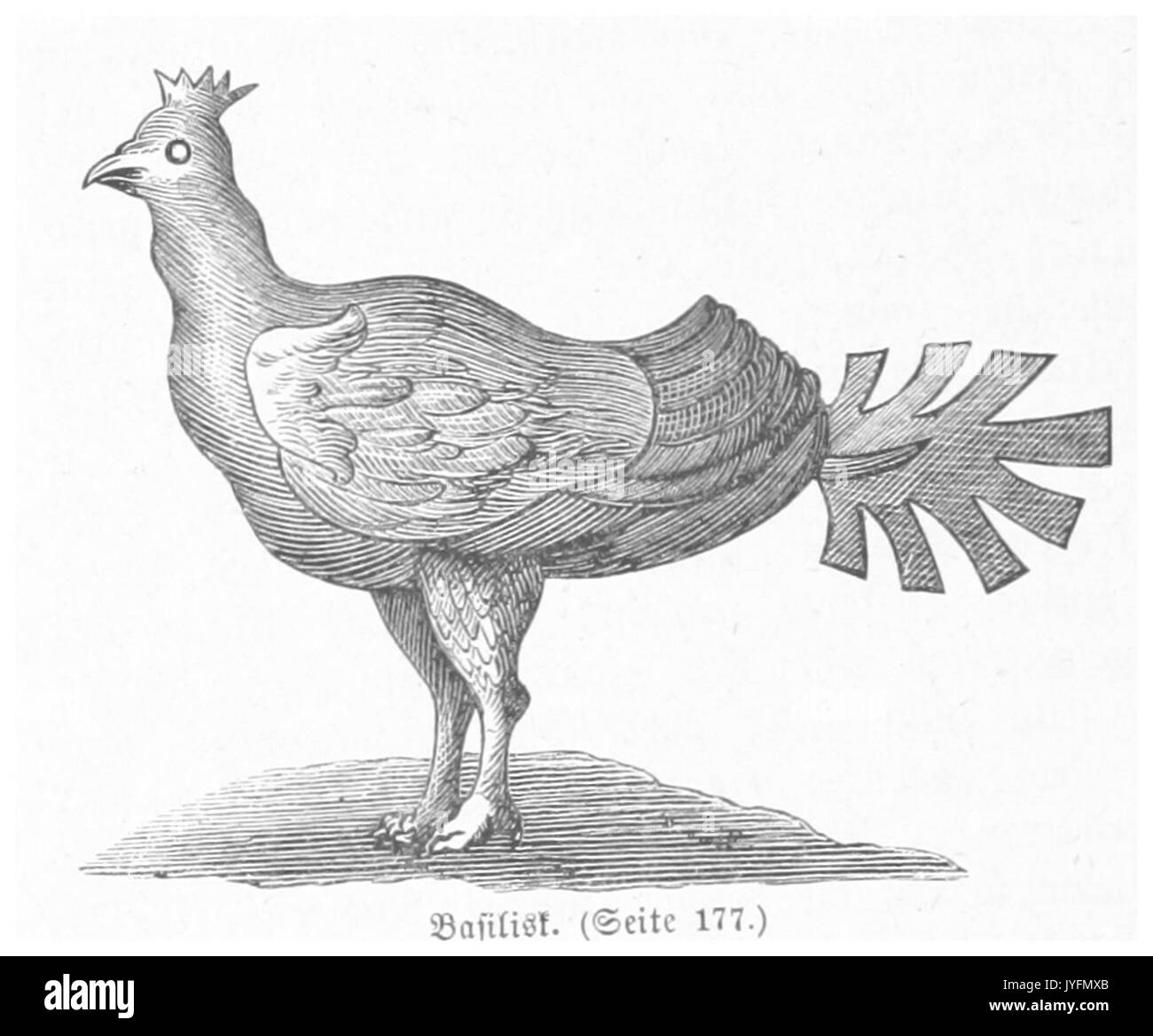 BERMANN(1880) p0186 Der Sagenhafte Basilisk Stockfoto