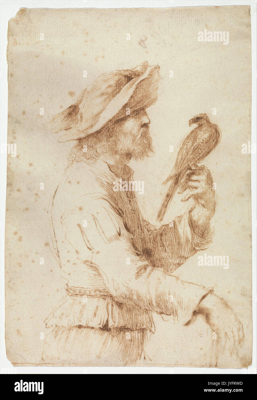 Ein Falkner im Profil nach rechts MET DP 358990 Stockfoto