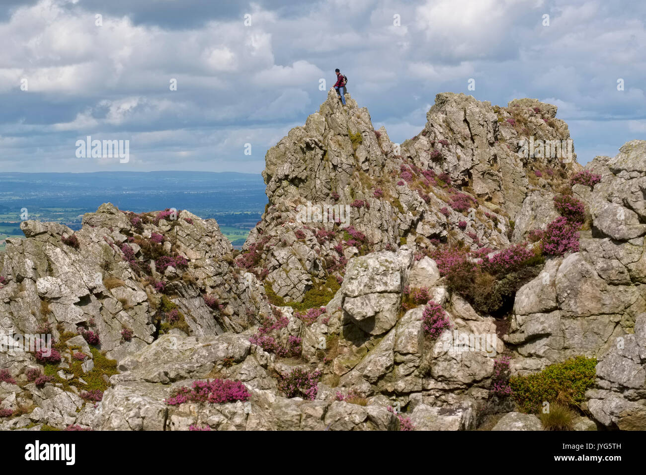 Ein Wanderer auf den Stuhl des Teufels, Stiperstones, Shropshire, England, Großbritannien Stockfoto