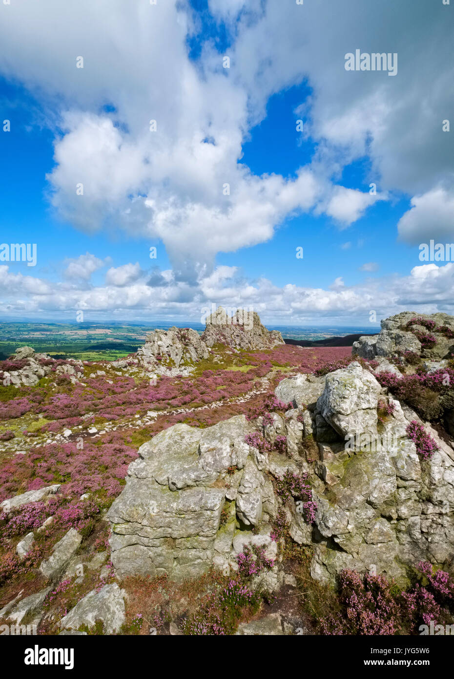 The Devil's Chair Felsvorsprung auf der Stiperstones Hill, Shropshire, England, Großbritannien Stockfoto
