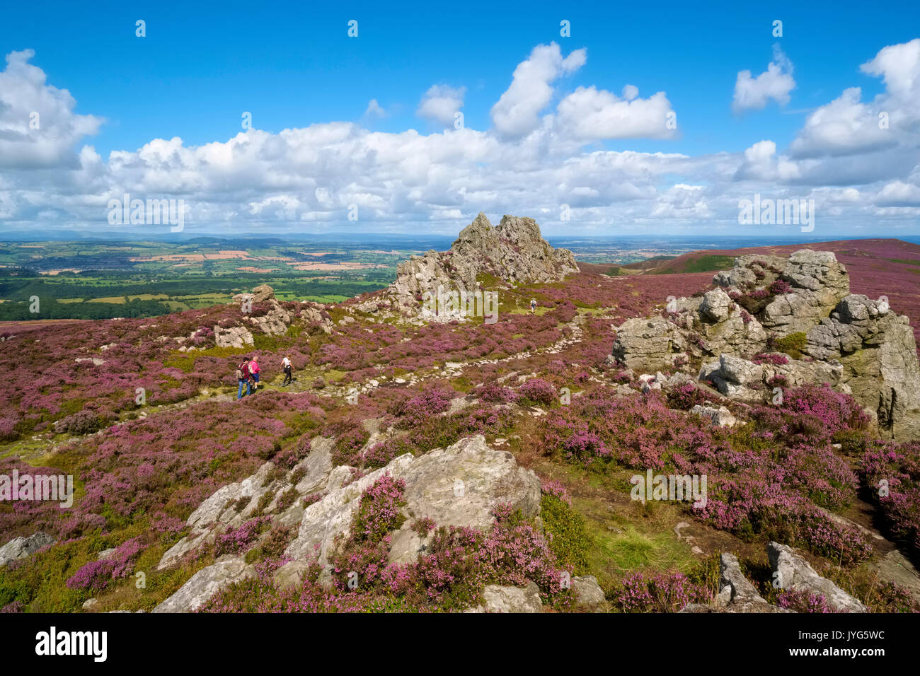 The Devil's Chair und lila Heidekraut auf der Stiperstones, Shropshire, England, Großbritannien Stockfoto