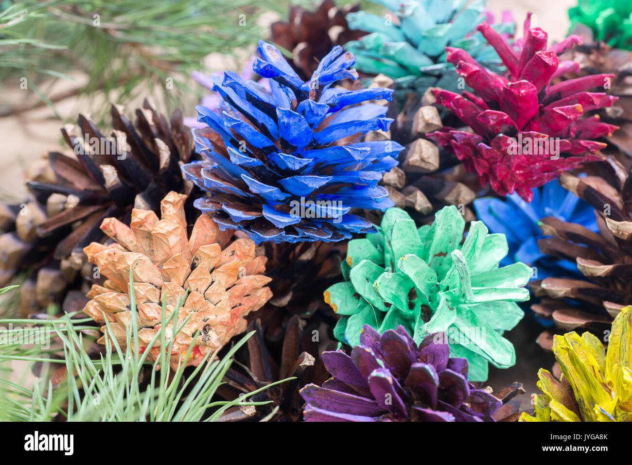 Bunt lackierte Tannenzapfen Weihnachten Dekoration Stockfoto