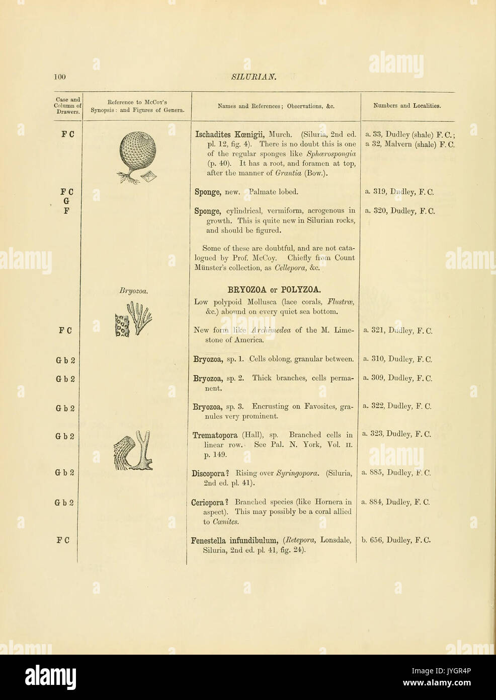 Ein Katalog der Sammlung von Kambrium, Silur Fossilien im Geologischen Museum der Universität von Cambridge (Seite 100) BHL 13770128 enthalten Stockfoto