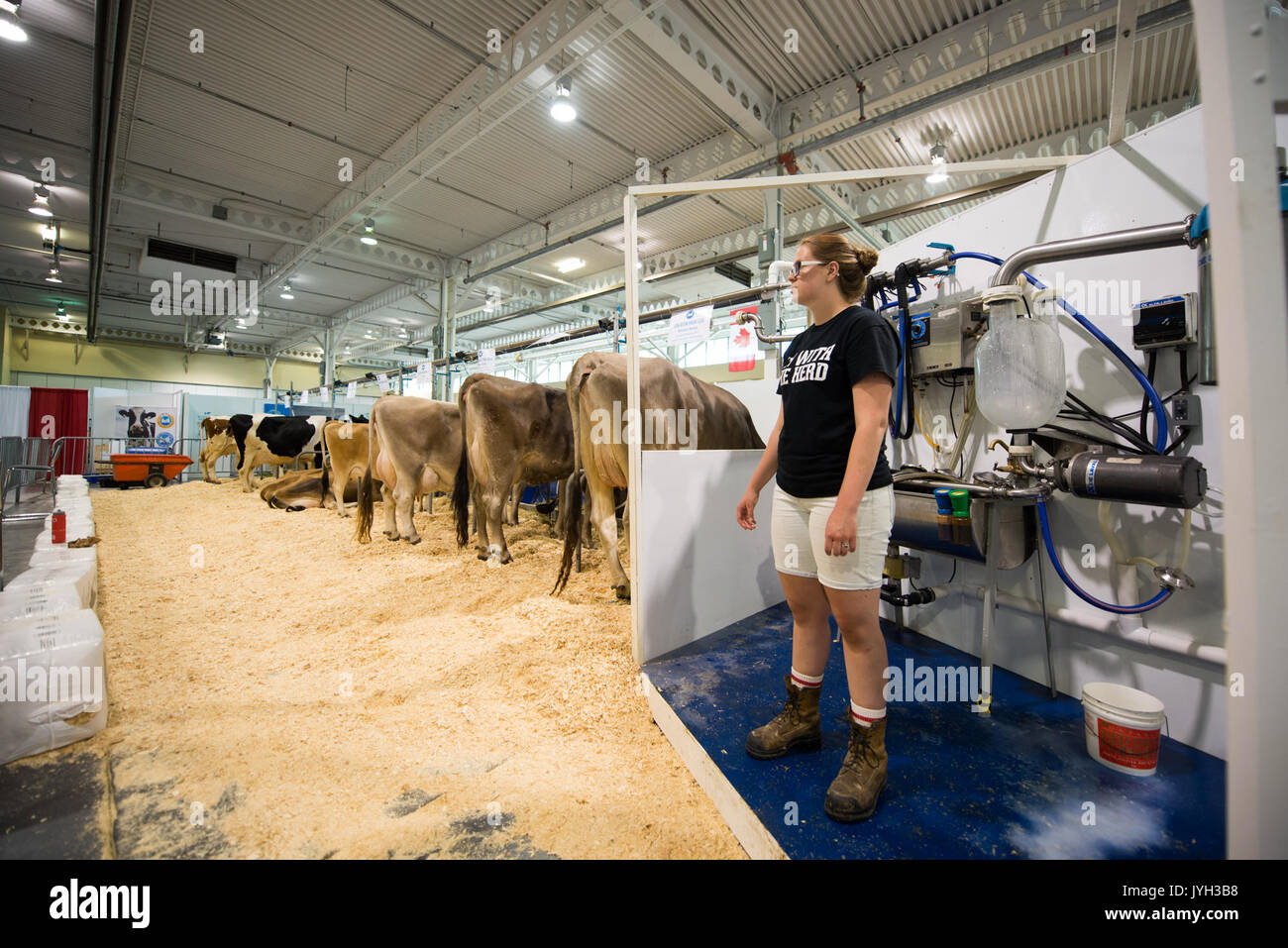(170819) - Toronto (Kanada), August 19, 2017 (Xinhua) - ein Mitarbeiter der Milchviehhalter von Ontario Vitrinen Milchproduktion Verfahren an der kanadischen nationalen Ausstellung in Toronto, Kanada, am 12.08.18., 2017. Die Usa eröffnete die 23-jährige North American Free Trade Agreement (NAFTA) Nachverhandlungen Mittwoch mit einer Erklärung, dass es für grössere Änderungen an der Vereinbarung, die Verschiebungen in der Handelsbilanz. Aber, kanadischer Unternehmer hoffen US-Unterhändler empfänglich wird für die Aufrechterhaltung, wenn nicht verbessern, wird der aktuelle Fluss von Waren und der Arbeitnehmer über die Grenze hinweg. Obwohl die C Stockfoto