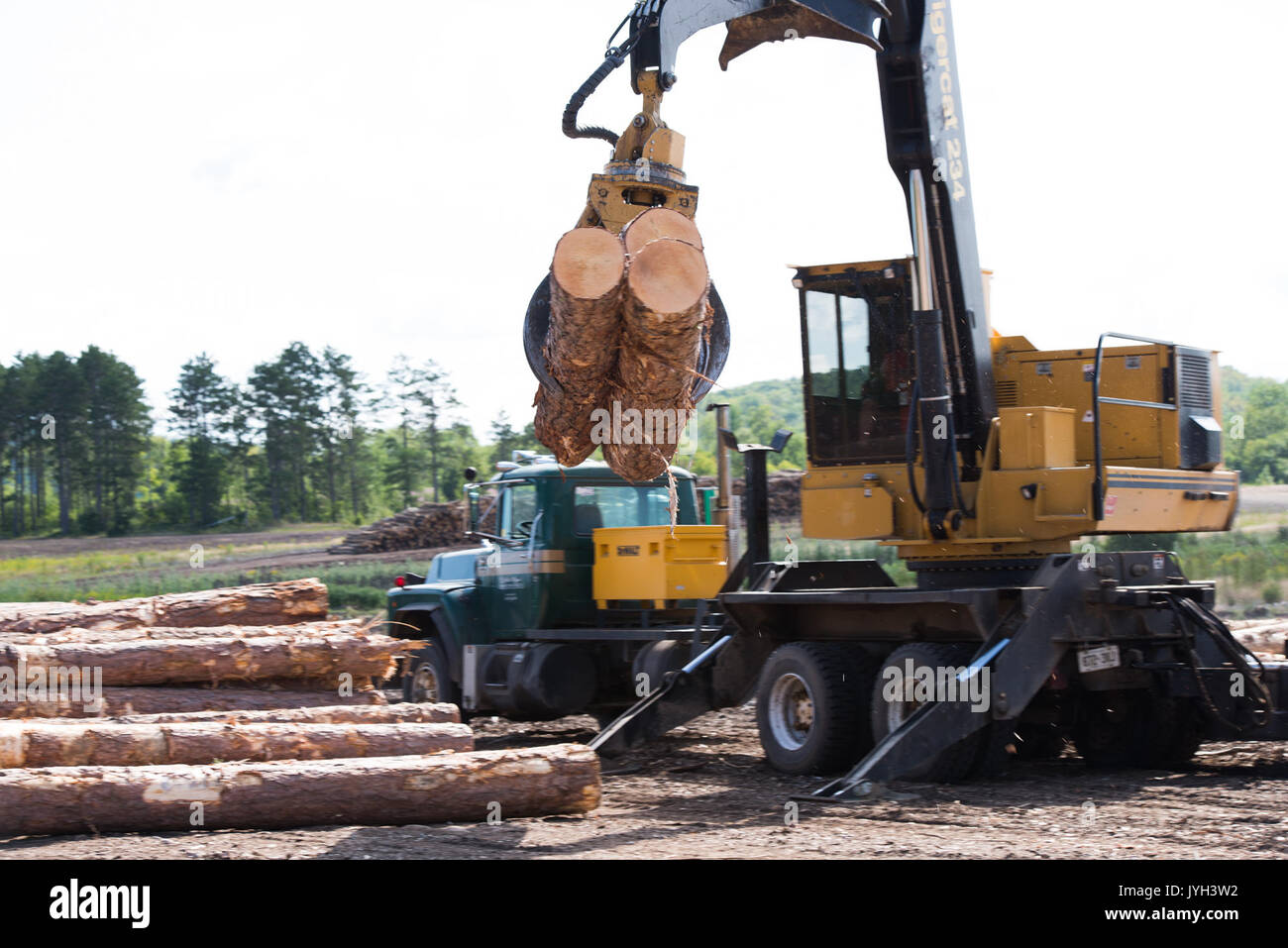 (170819) - Toronto (Kanada), August 19, 2017 (Xinhua) - Protokolle sind für den Transport in einem schnittholz hersteller von Murray Brüder Lumber Company in Ontario, Kanada aufgehoben, am 12.08.16., 2017. Die Usa eröffnete die 23-jährige North American Free Trade Agreement (NAFTA) Nachverhandlungen Mittwoch mit einer Erklärung, dass es für grössere Änderungen an der Vereinbarung, die Verschiebungen in der Handelsbilanz. Aber, kanadischer Unternehmer hoffen US-Unterhändler empfänglich wird für die Aufrechterhaltung, wenn nicht verbessern, wird der aktuelle Fluss von Waren und der Arbeitnehmer über die Grenze hinweg. Fehden über Nadelschnittholz haben b Stockfoto
