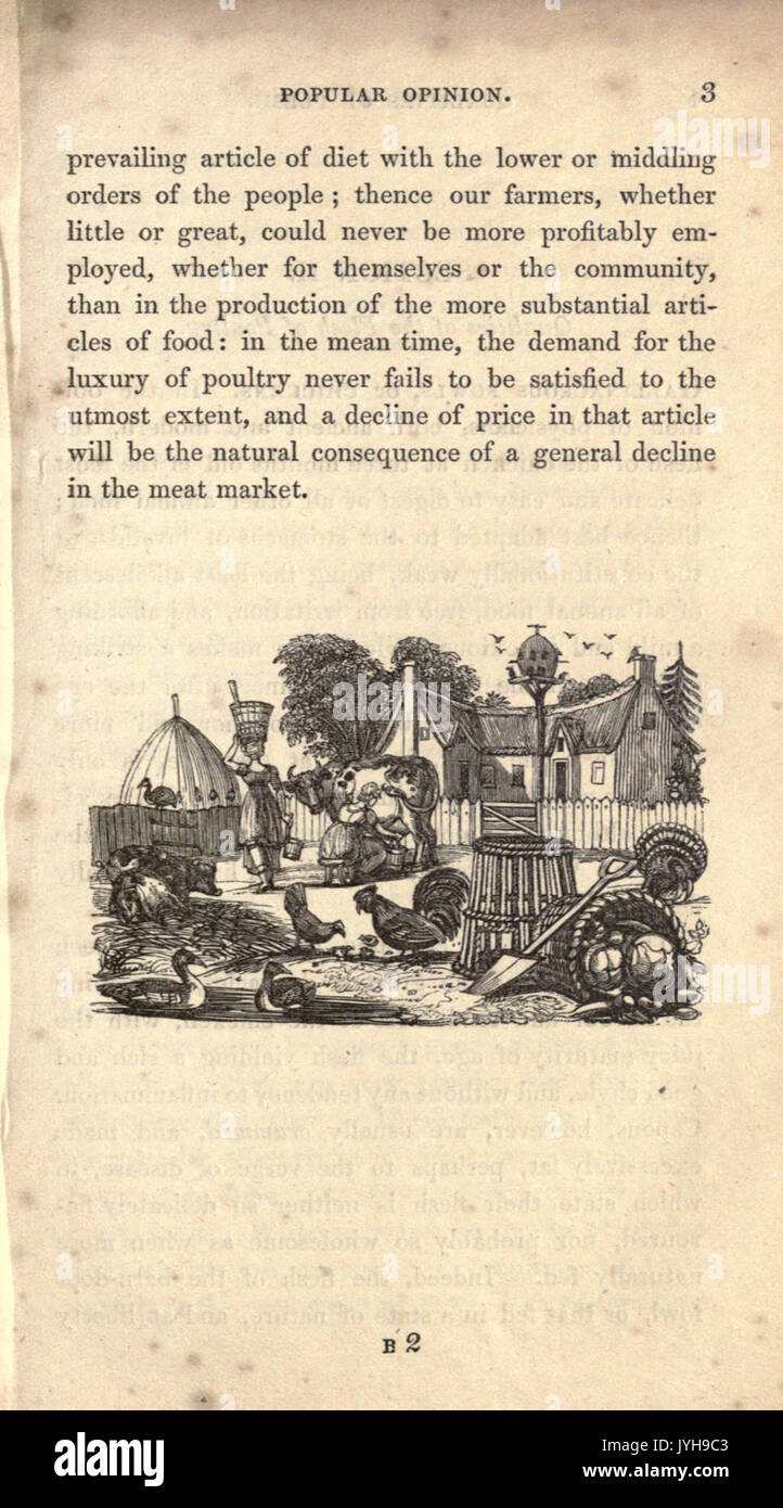 Eine praktische Abhandlung über Zucht, Aufzucht und Mast alle Arten von Hausgeflügel, Fasane, Tauben und Kaninchen (Seite 3) BHL 22707127 Stockfoto