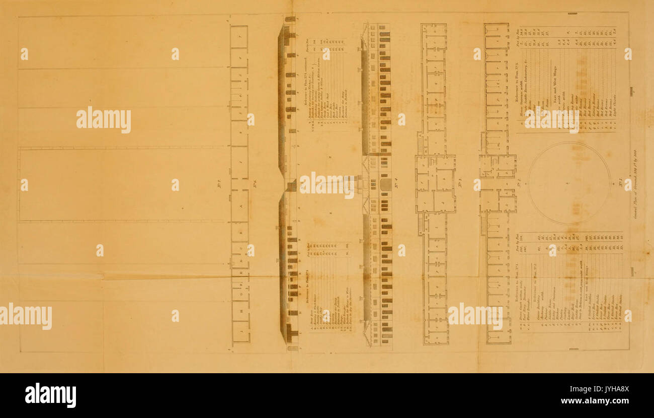 Eine Abhandlung über die Betreuung, Behandlung und Schulung der Englischen Race Horse BHL 21583277 Stockfoto