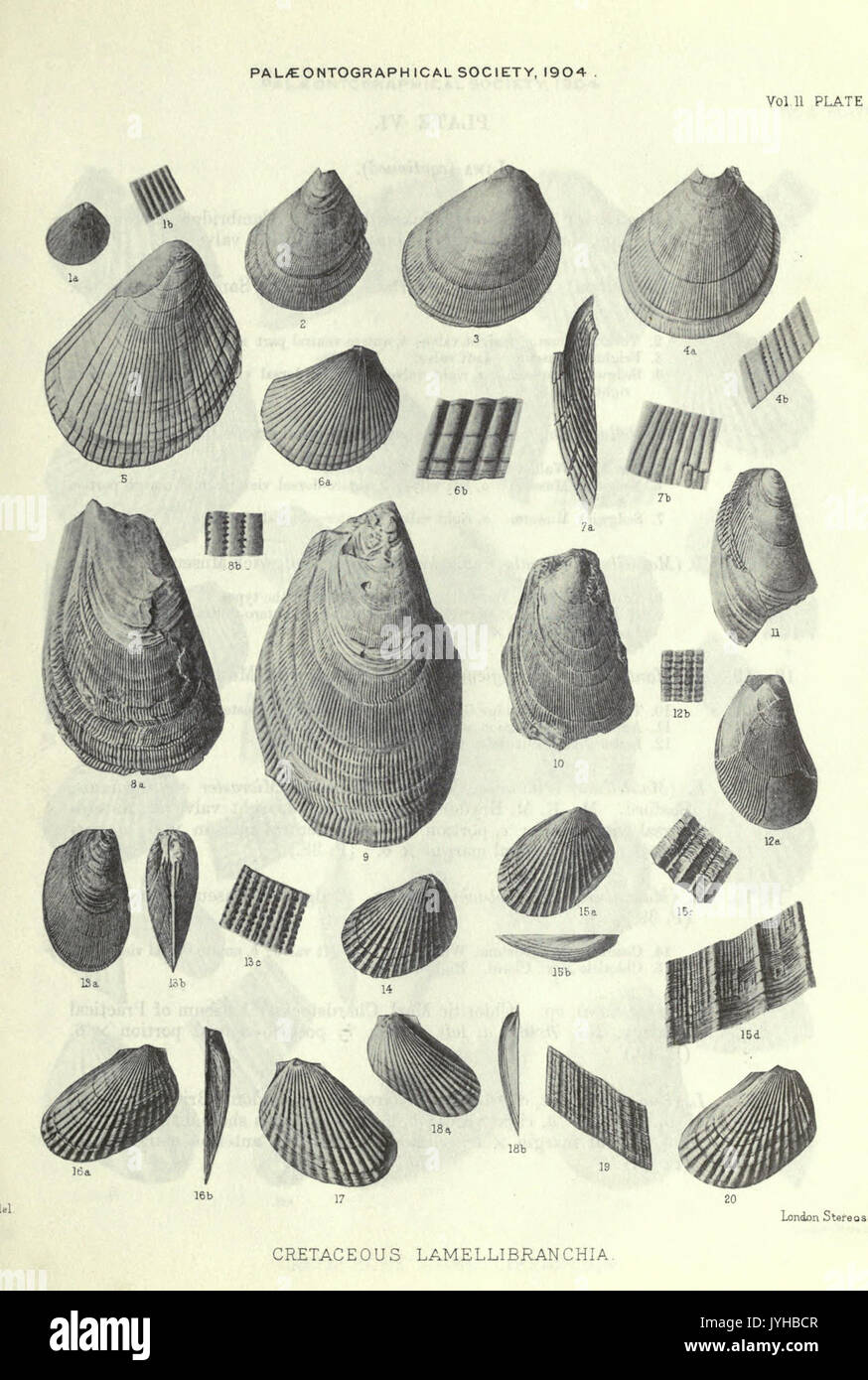 Eine Monographie der Kreidezeit Lamellibranchia von England BHL 20736638 Stockfoto