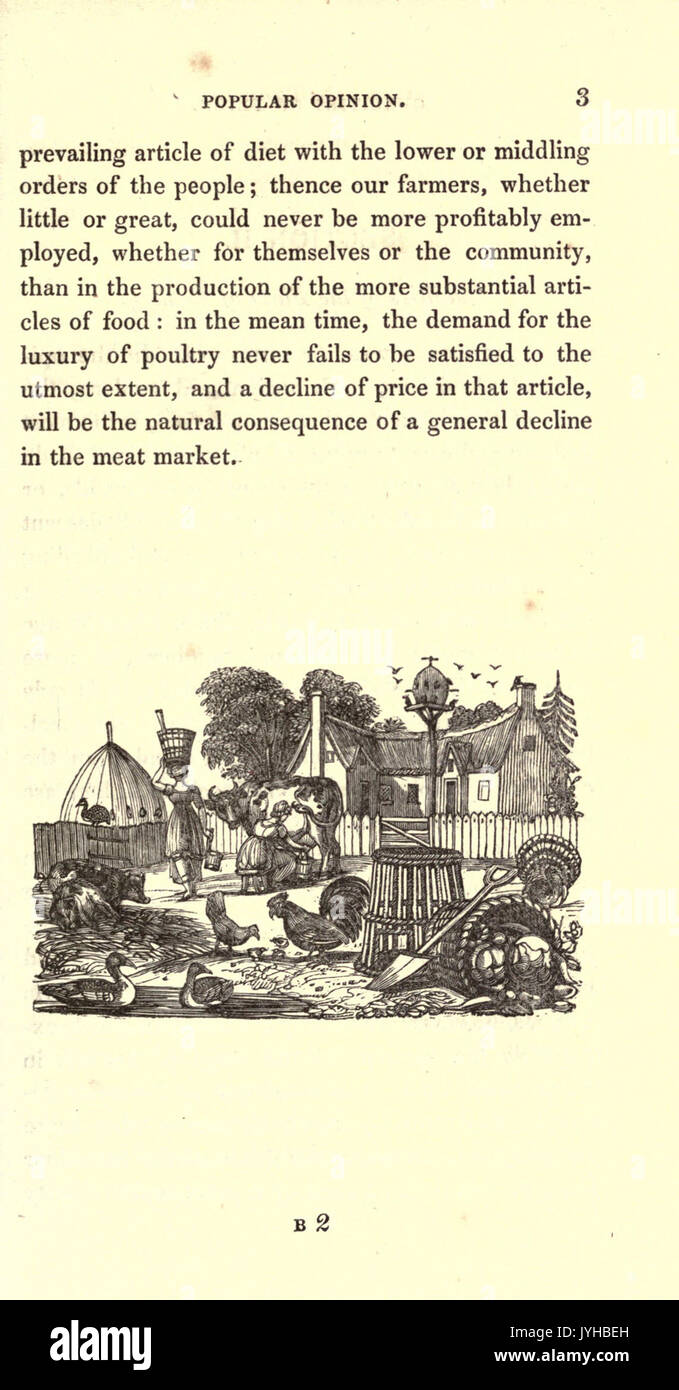 Eine praktische Abhandlung über Zucht, Aufzucht und Mast, alle Arten von Hausgeflügel, Fasane, Tauben und Kaninchen (Seite 3) BHL 21240247 Stockfoto