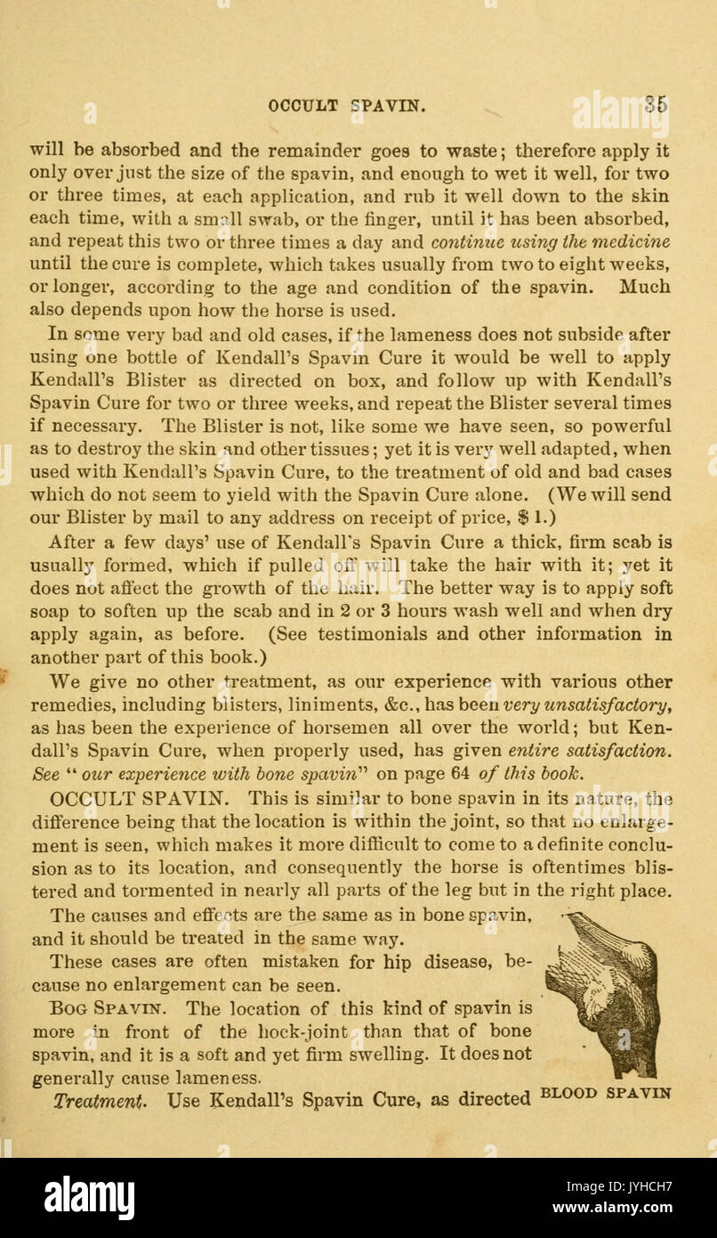 Eine Abhandlung über das Pferd und seine Krankheiten (Seite 35) BHL 18633004 Stockfoto