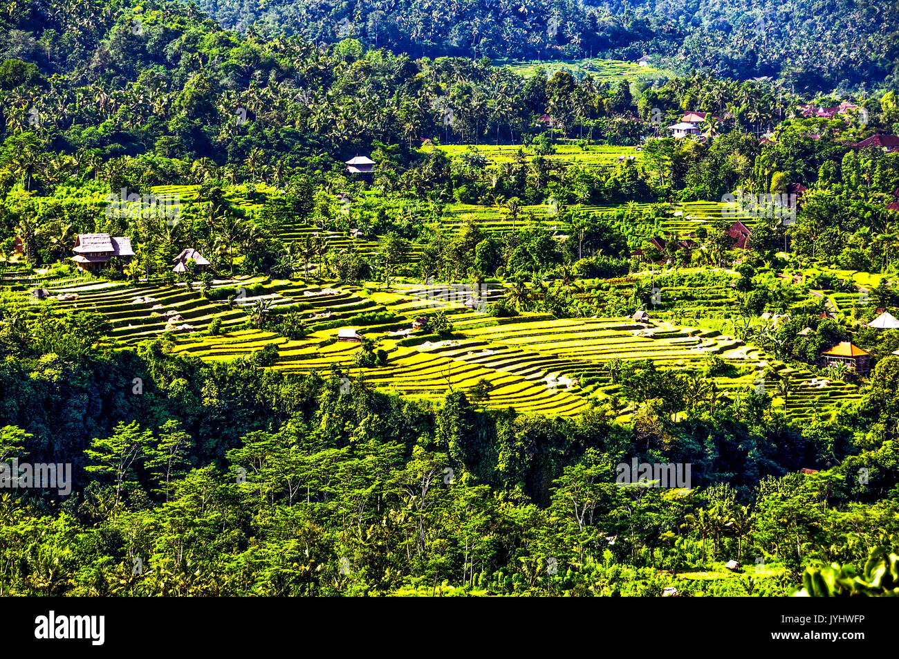 Asien, Südostasien, Indonesien, Bali. Sidemen. Reisfelder. Stockfoto