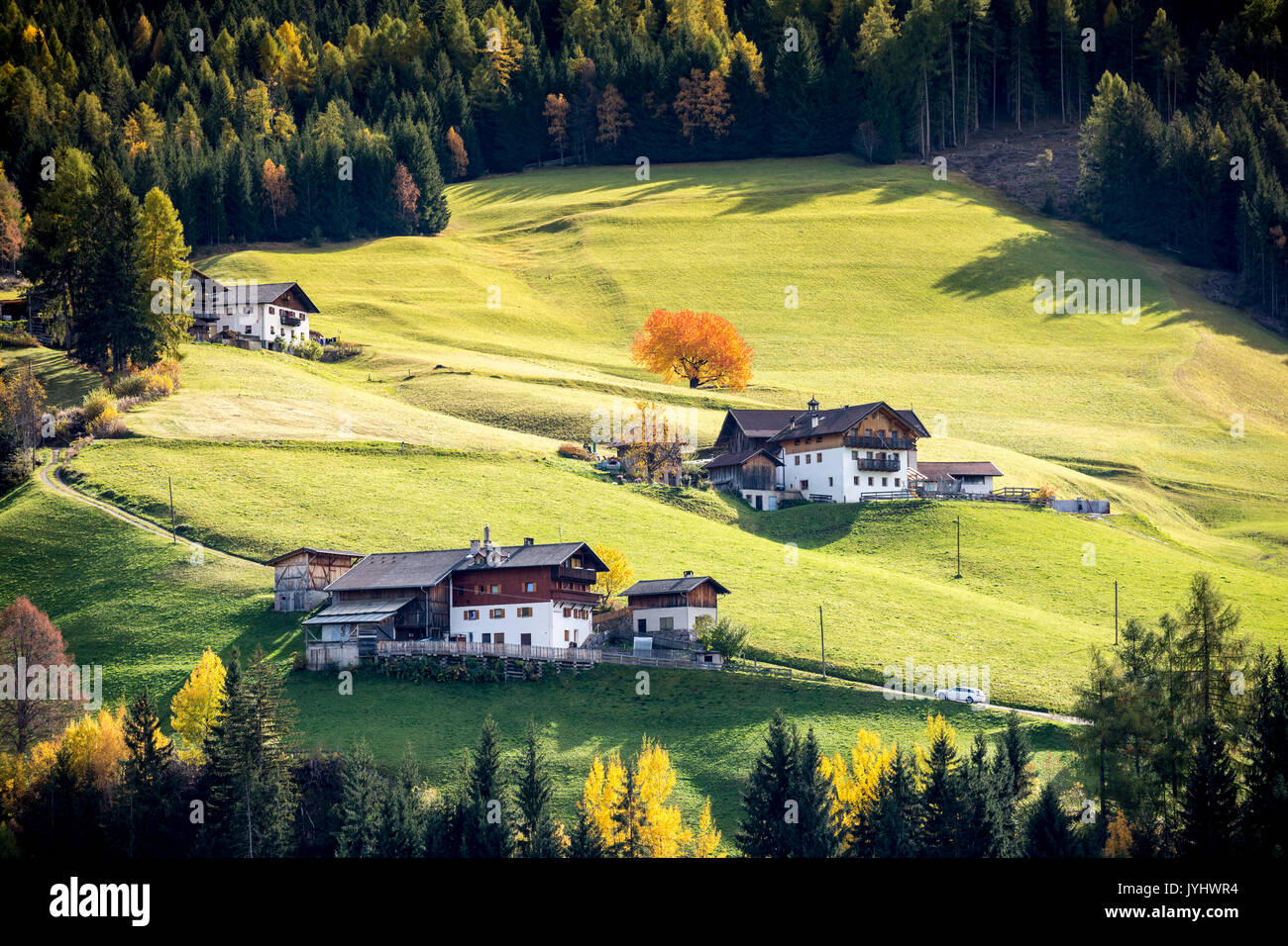 Herbstliche Landschaft mit Hütten und Bäume. Santa Maddalena, Funes, Bozen, Trentino Alto Adige, Südtirol, Italien, Europa. Stockfoto