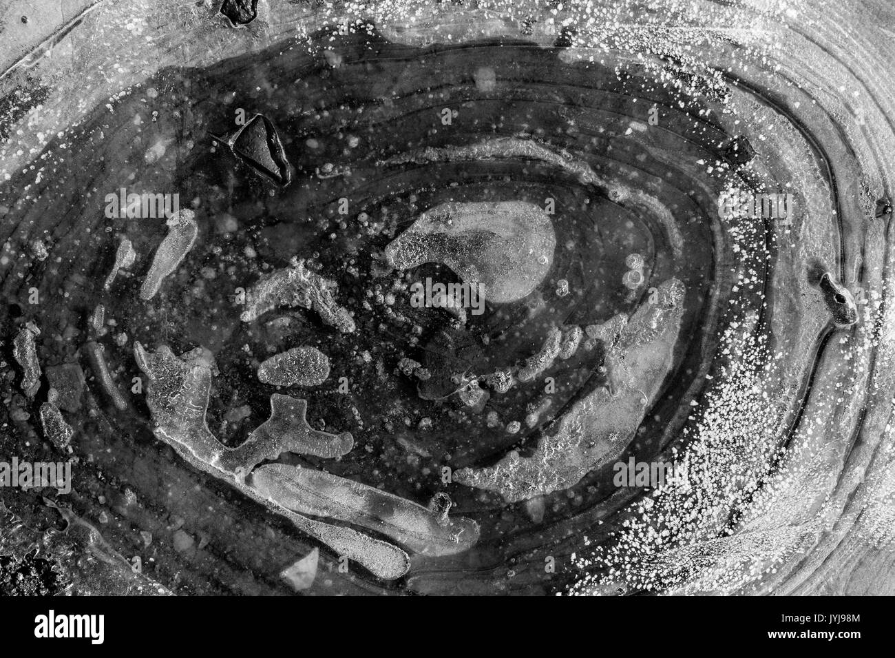 Gefrorene Pfützen mit Blätter unter Eisdecke, Muster und abstrakte Bilder eingefroren Stockfoto