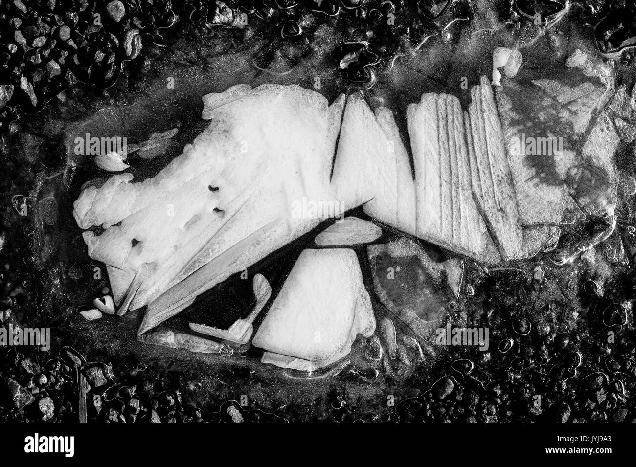 Gefrorene Pfützen, Eismuster und abstrakte Bilder sowie die Designs der Natur Stockfoto