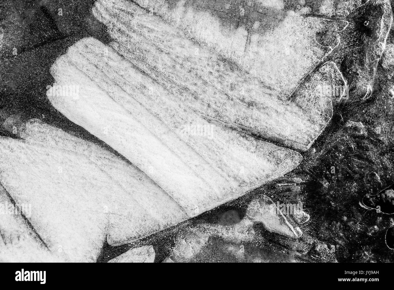 Gefrorene Pfützen mit Blätter unter Eisdecke, Muster und abstrakte Bilder gefroren, mit Blättern von Eis Teile Stockfoto