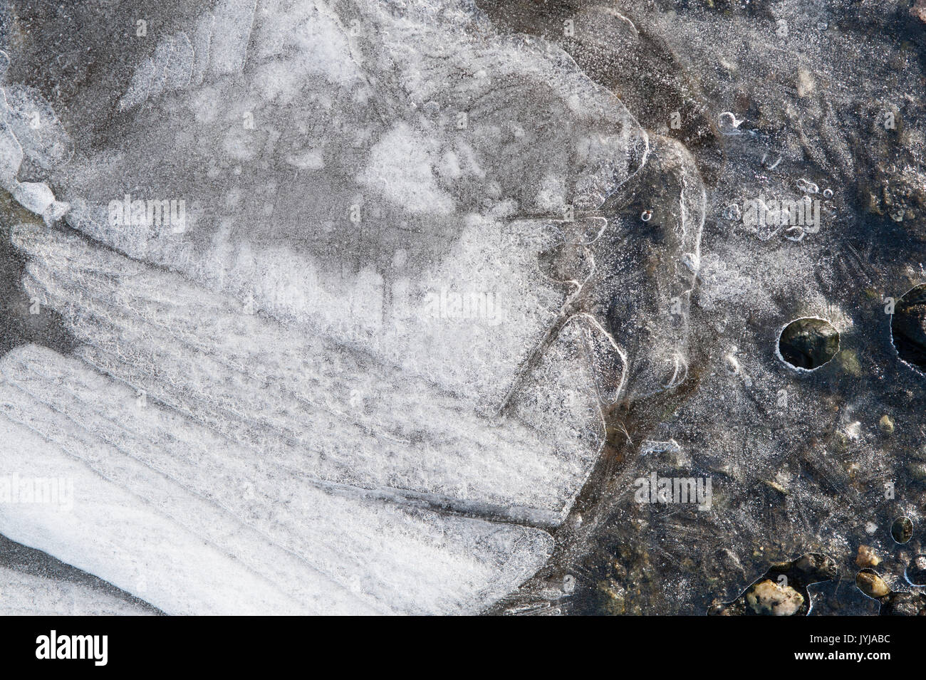 Gefrorene Pfützen mit Blätter unter Eisdecke, Muster und abstrakte Bilder gefroren, mit Blättern von Eis Teile Stockfoto