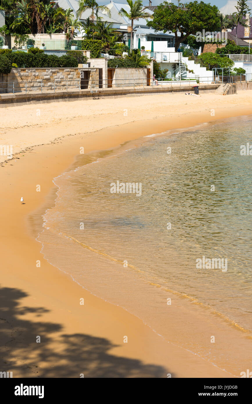 Camp Cove Beach, Watsons Bay, Sydney, Australien Stockfoto