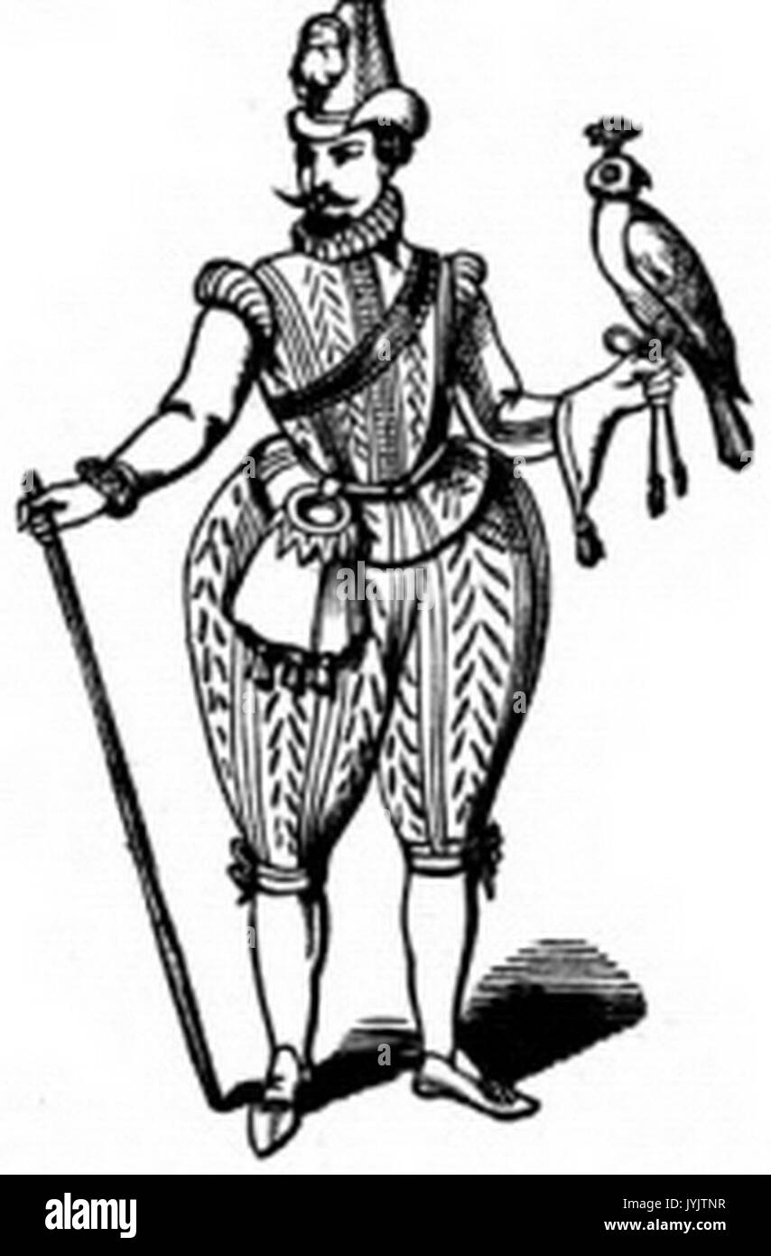 404 gekleidet für Hawking Stockfoto