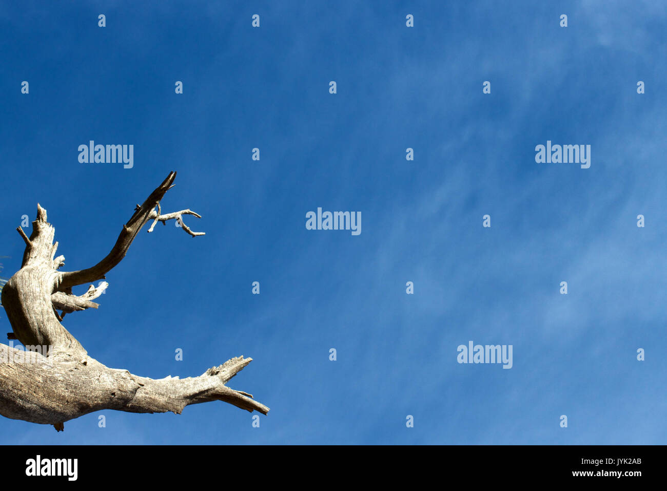 2017 365 4 Sky Reach (31995985031) Stockfoto