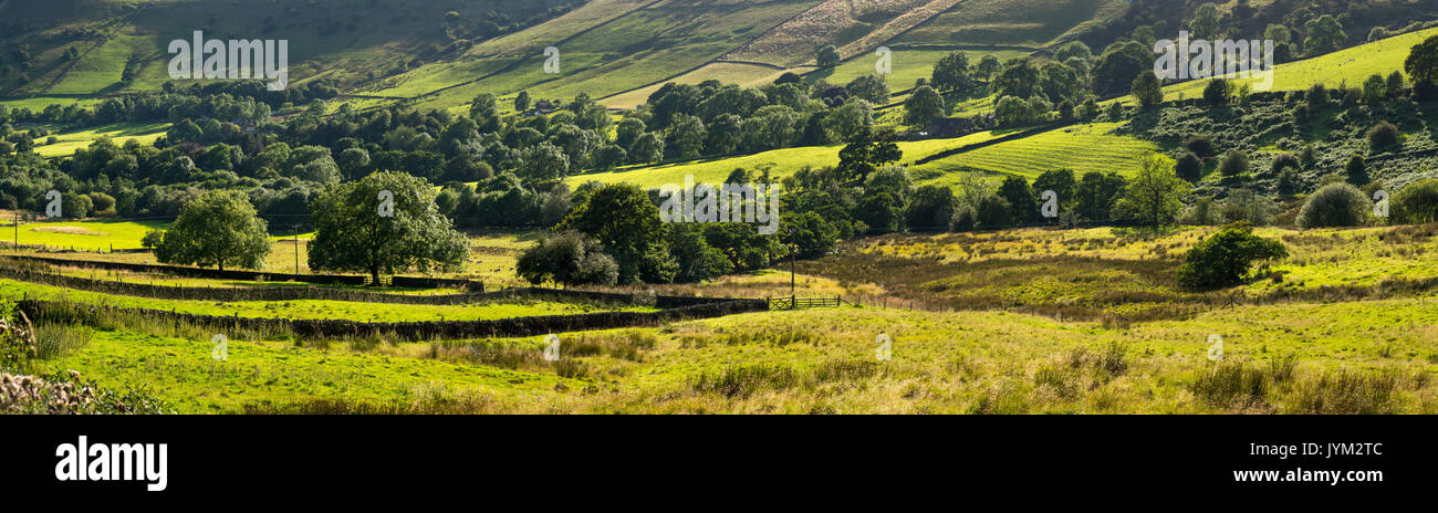 Schönen grünen Landschaft in den Hügeln des High Peak in Nordengland. Stockfoto