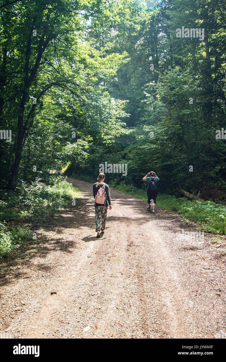 Wandern auf einem Trail im Wald Stockfoto