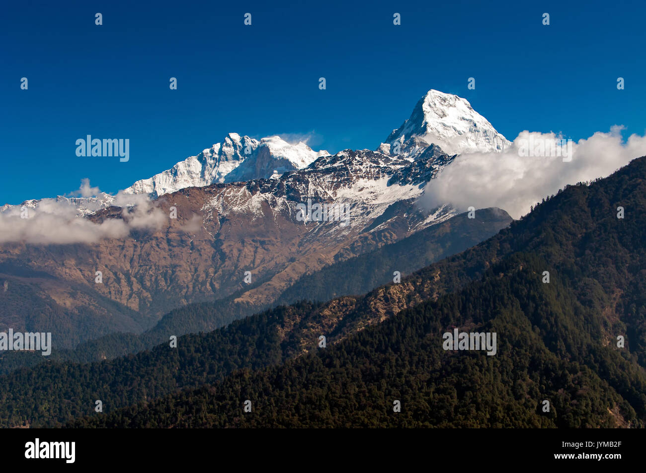 Blick auf die Fish Tail Berg- oder auch als Matschaputschare in die Annapurna Himalaya der North Central Nepal. Es ist von der lokalen Bevölkerung als Pa verehrt. Stockfoto