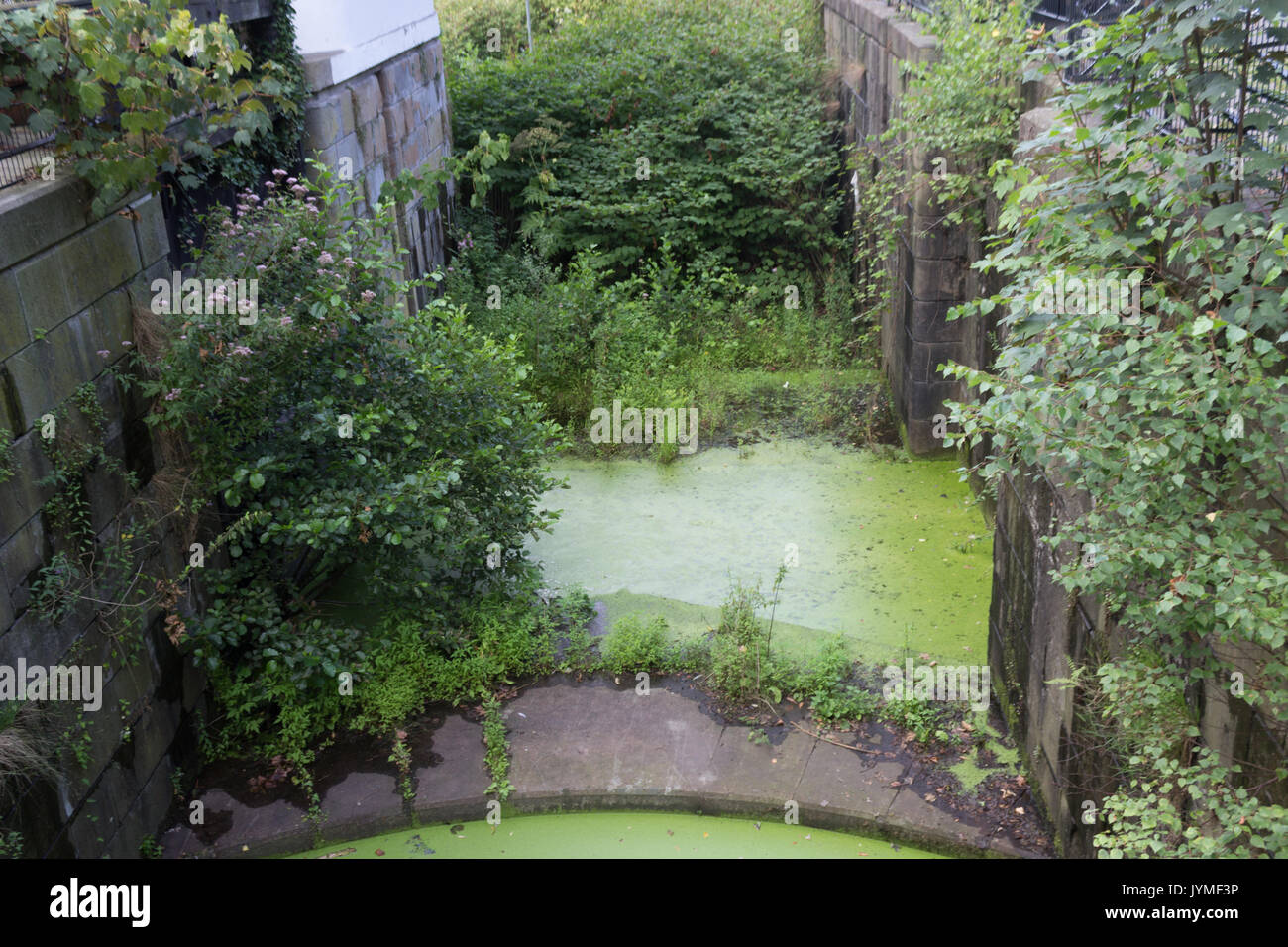 Toten alten grünen Fluss mit Schiff Schleuse. Stockfoto