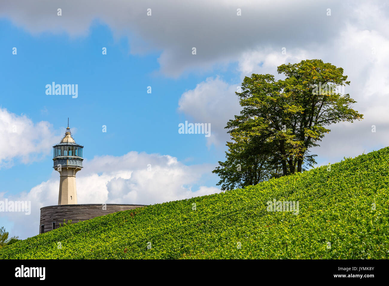 Le Phare Leuchtturm inmitten der grünen Weinberge in einem kleinen Dorf von Verzenay, in der Nähe von Reims, Champagne, Frankreich Stockfoto