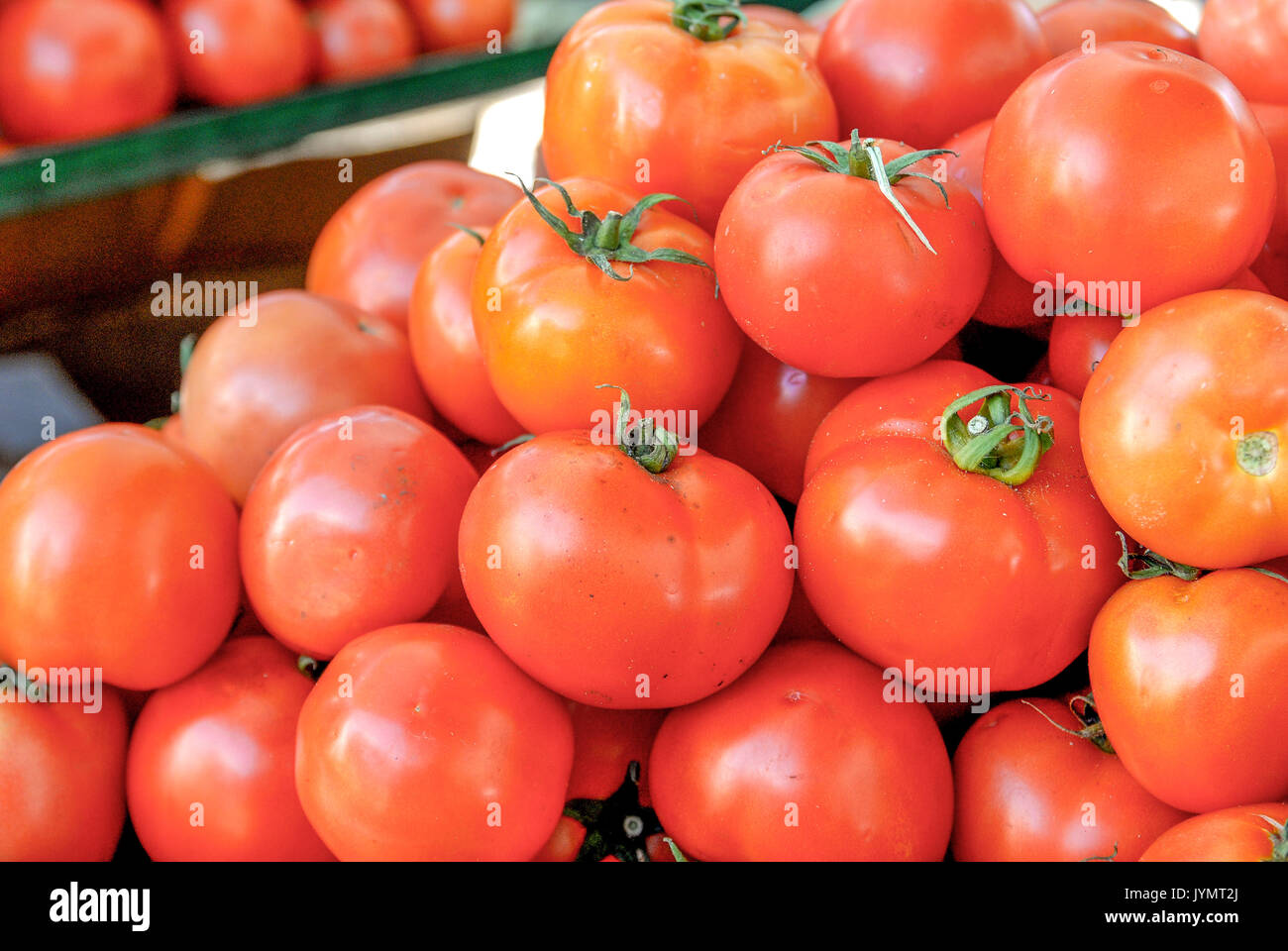 Rote Tomaten auf dem Markt Stockfoto