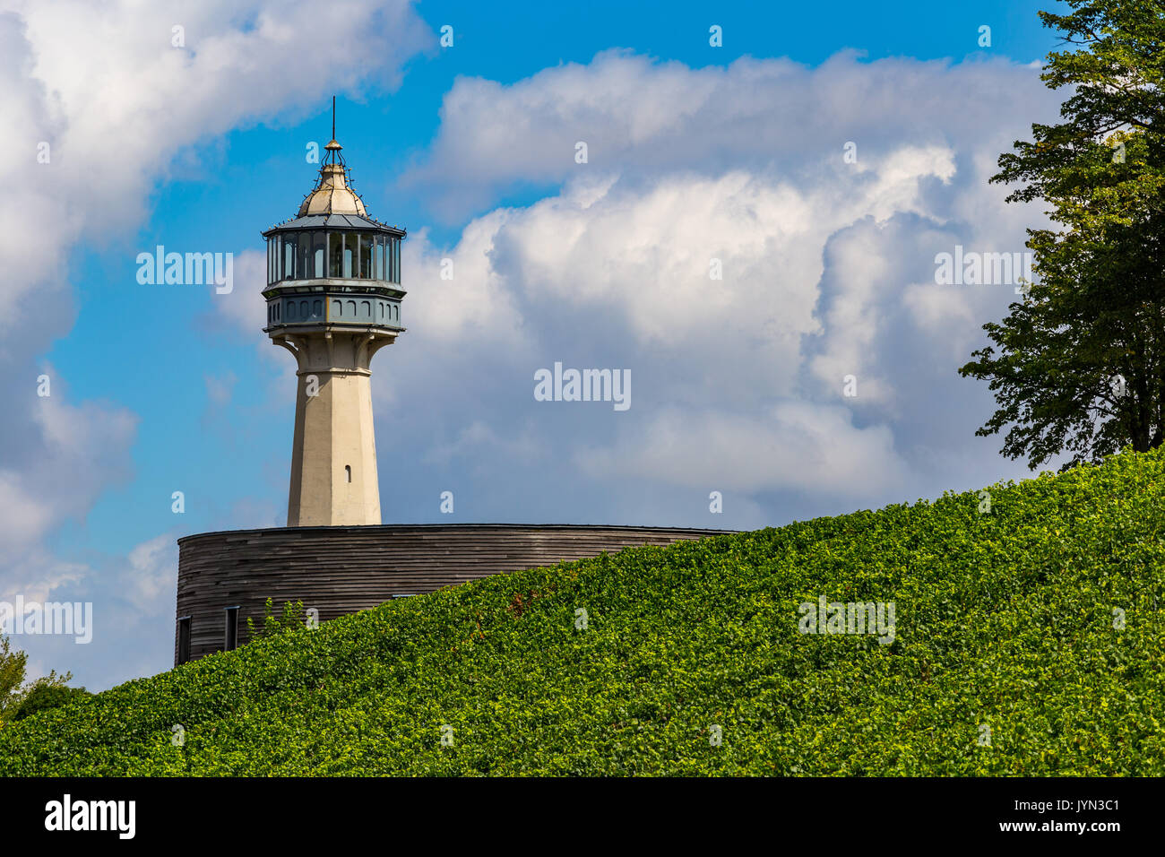 Le Phare Leuchtturm inmitten der grünen Weinberge in einem kleinen Dorf von Verzenay, in der Nähe von Reims, Champagne, Frankreich Stockfoto