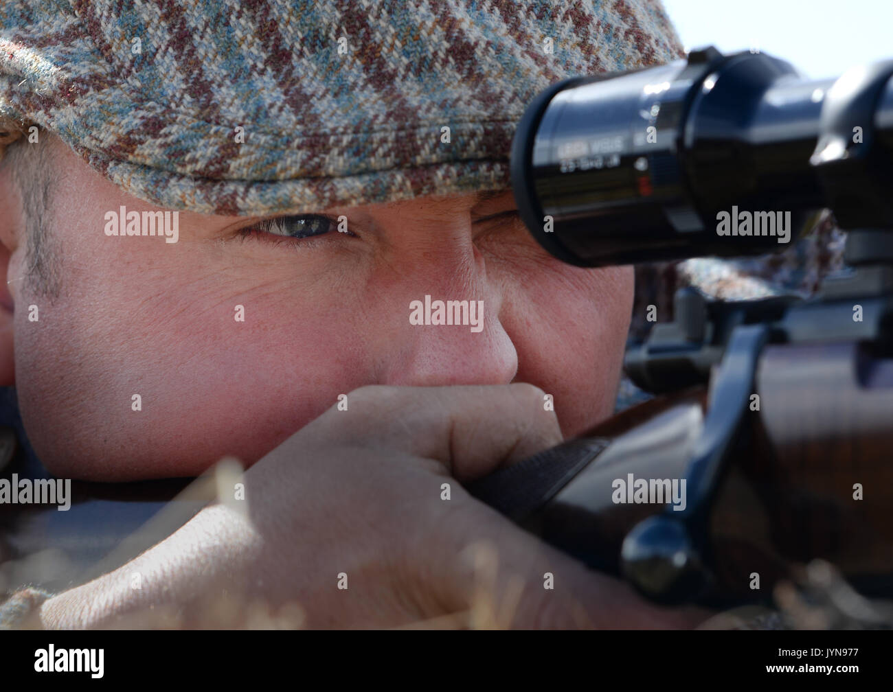 Hirsche auf dem Atholl-Anwesen in Schottland Stockfoto