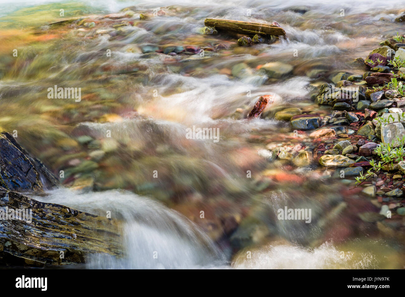 Das kristallklare Wasser von Wilbur Creek hetzt über bunte Fluss Felsen im Glacier National Park Stockfoto