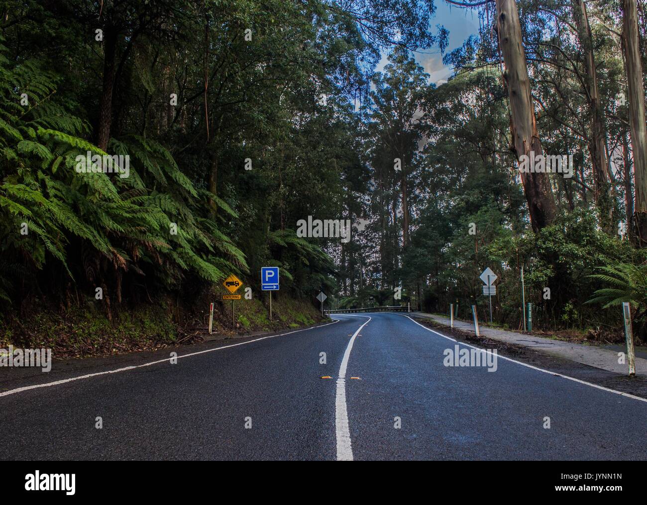 Ein Bild, eine kurvige Straße in die Dandenong Bergkette. Stockfoto