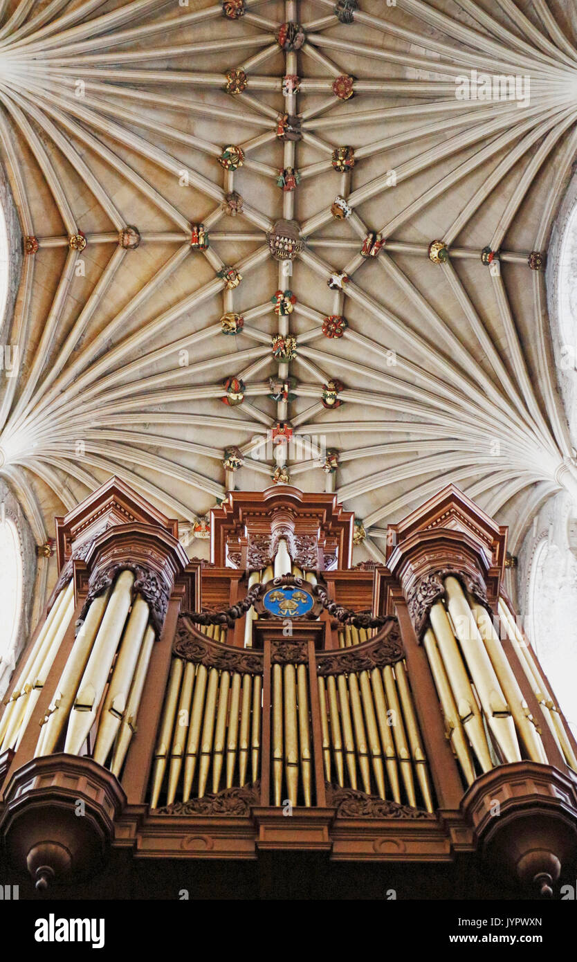 Ein Blick auf die Gewölbe und Bosse auf der Decke des Kirchenschiffes mit Orgelempore in der Kathedrale von Norwich, Norfolk, England, Vereinigtes Königreich. Stockfoto