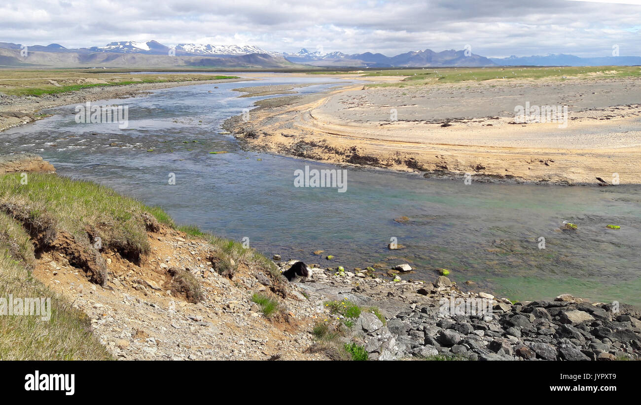Isländische Landschaft mit Fluss Stockfoto