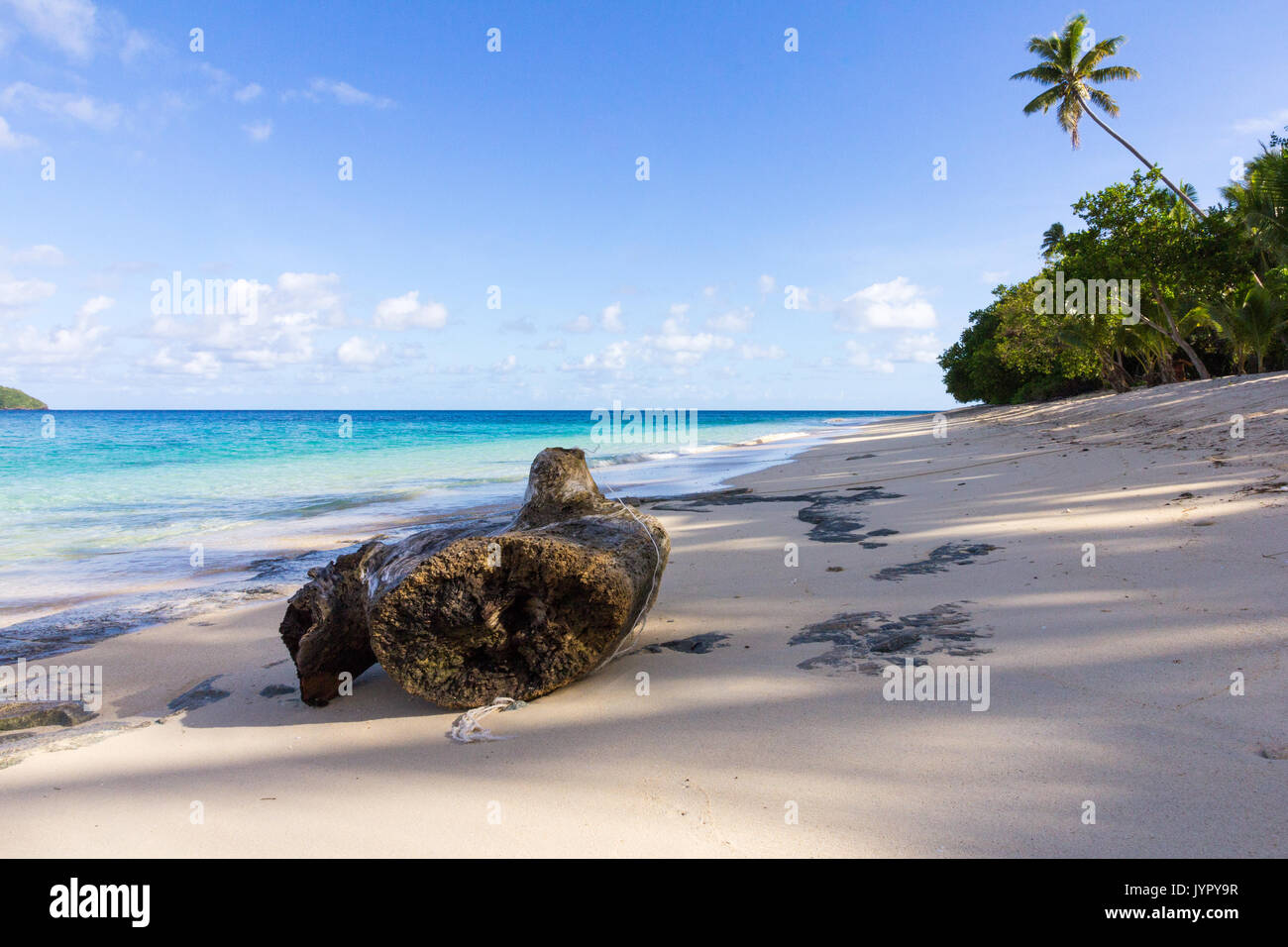 Melden Sie sich am Strand auf Dravuni Island, Fidschi, South Pacific Stockfoto