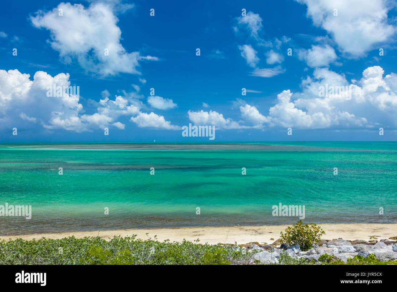 Atlantik in den Florida Keys Stockfoto