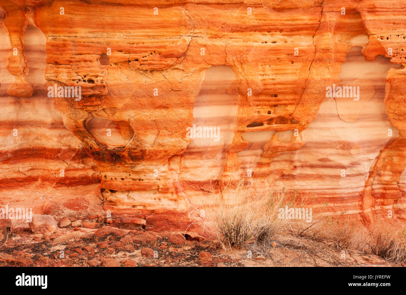 Nordamerika; USA; Nevada; Valley of Fire State Park; natürliche Funktionen; Wüste; Stein -Textur; Dawn. Stockfoto