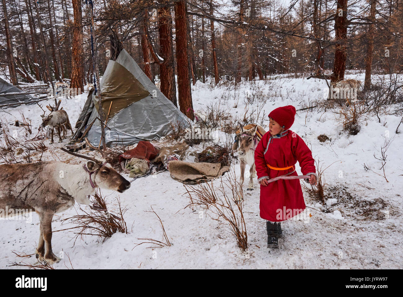 Die Mongolei, khovsgol Provinz, die Tsaatan, Rentierzüchter, der Winter Camp Stockfoto