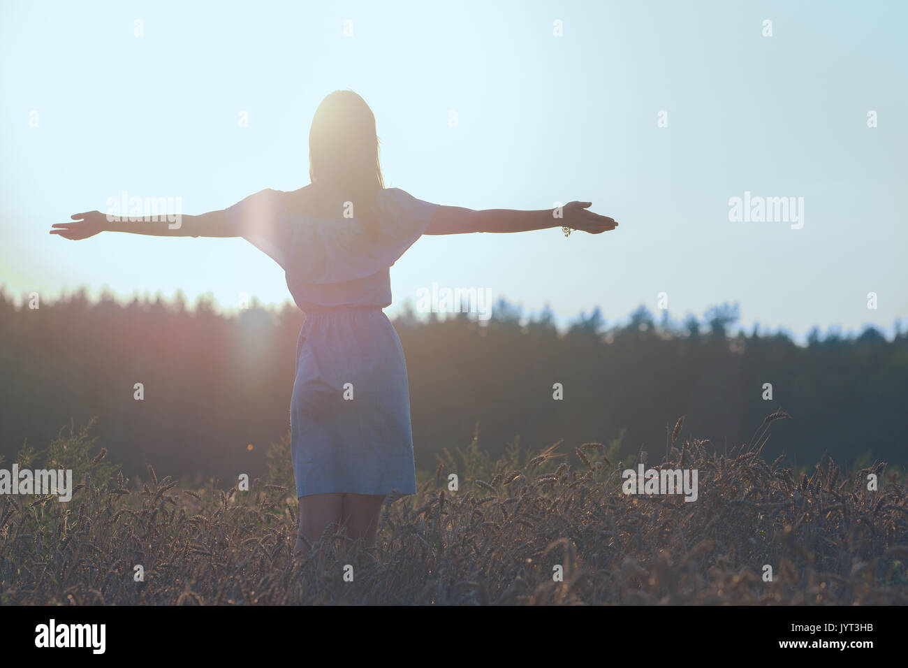 Schöne junge Dame im Weizenfeld bei Sonnenuntergang. Mädchen in casual blaues Kleid mit sonnigen Abend Stockfoto