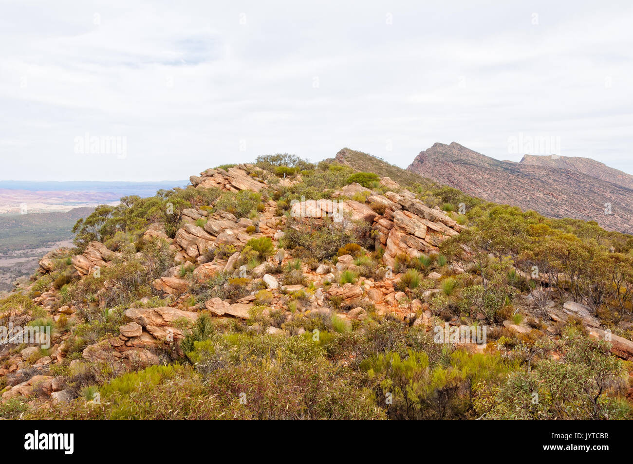 Auf dem Mount Ohlssen-Bagge Trail in Wilpena Pound - Flinders Ranges, SA, Australien Stockfoto