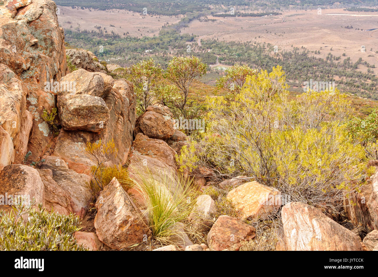 Auf dem Gipfel des Mount Ohlssen-Bagge in Wilpena Pound - Flinders Ranges, SA, Australien Stockfoto