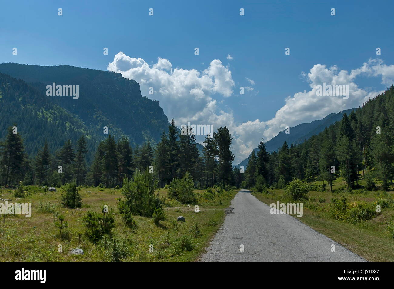 Majestätische Berggipfel, bewachsen mit Nadelwald, Tal, Lichtung und Straße, Rila-Gebirge, Bulgarien Stockfoto